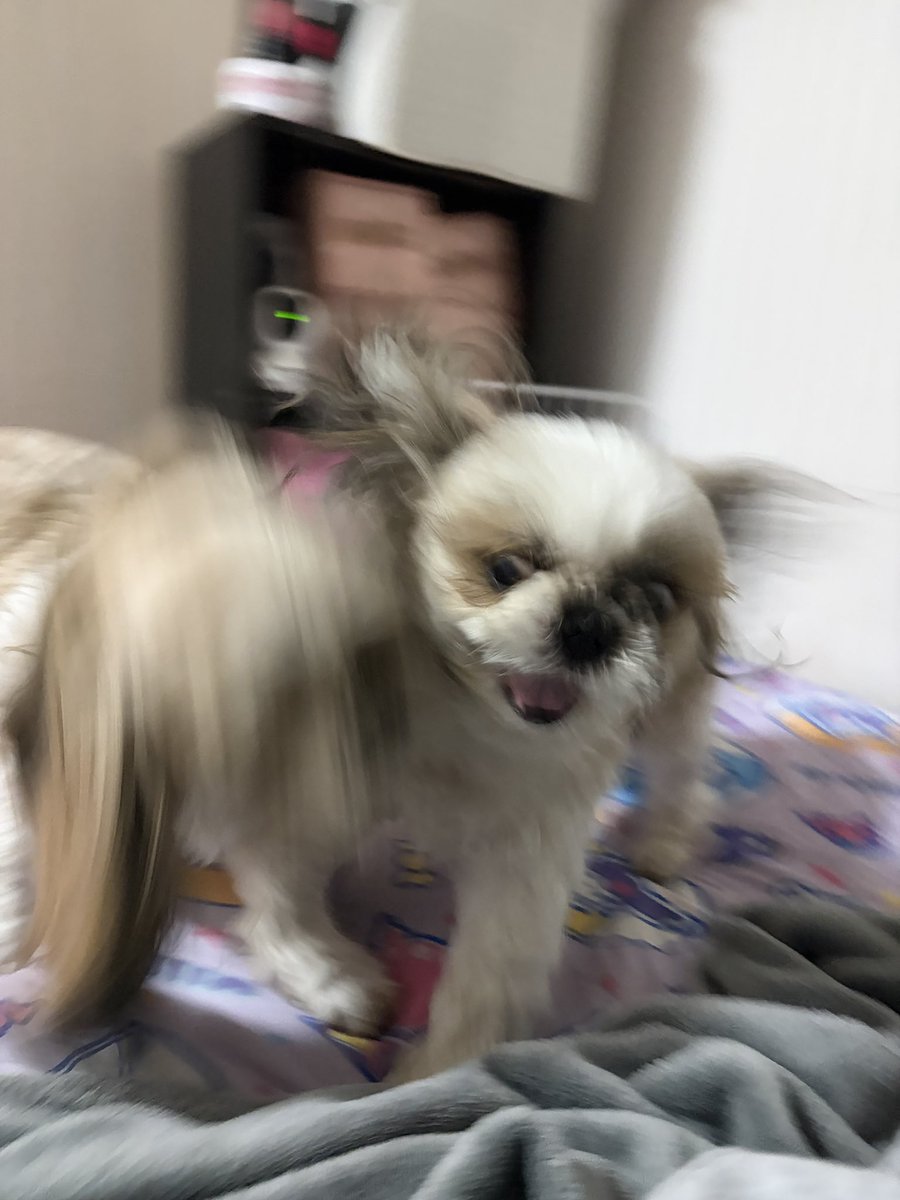 are___02's tweet photo. 落ち着いて😅😅😅😅😅😅😅😅😅😅😅😅😅😅😅😅 https://t.co/EACRV4D4vw