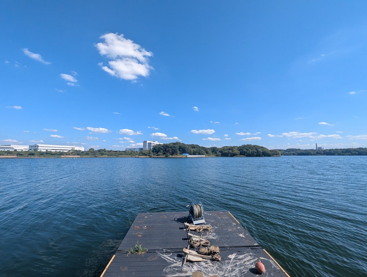 Octapha_8's tweet photo. ライブ前に愛知池完走した(7.4km) https://t.co/dall435Chk
