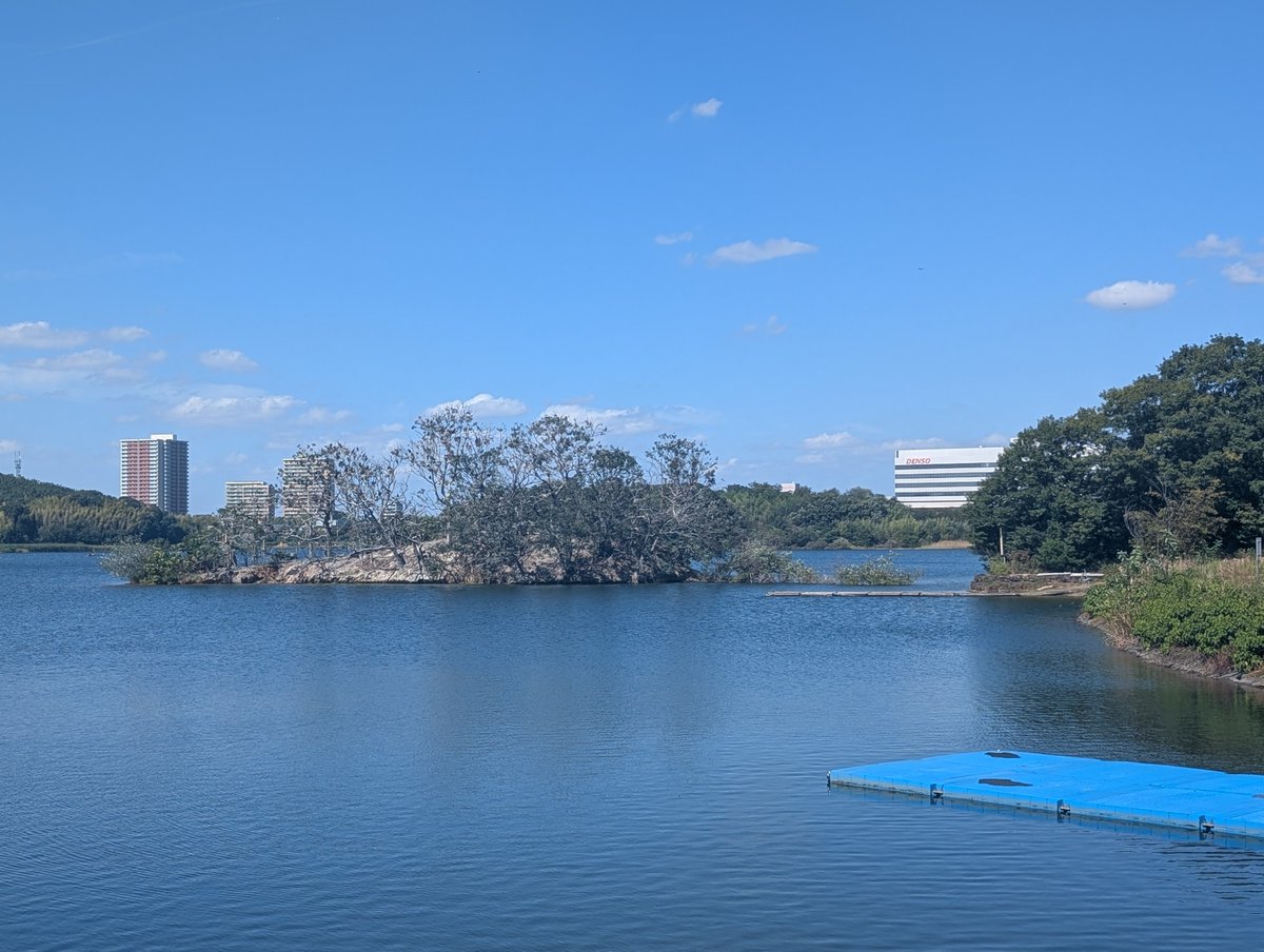 Octapha_8's tweet photo. ライブ前に愛知池完走した(7.4km) https://t.co/dall435Chk