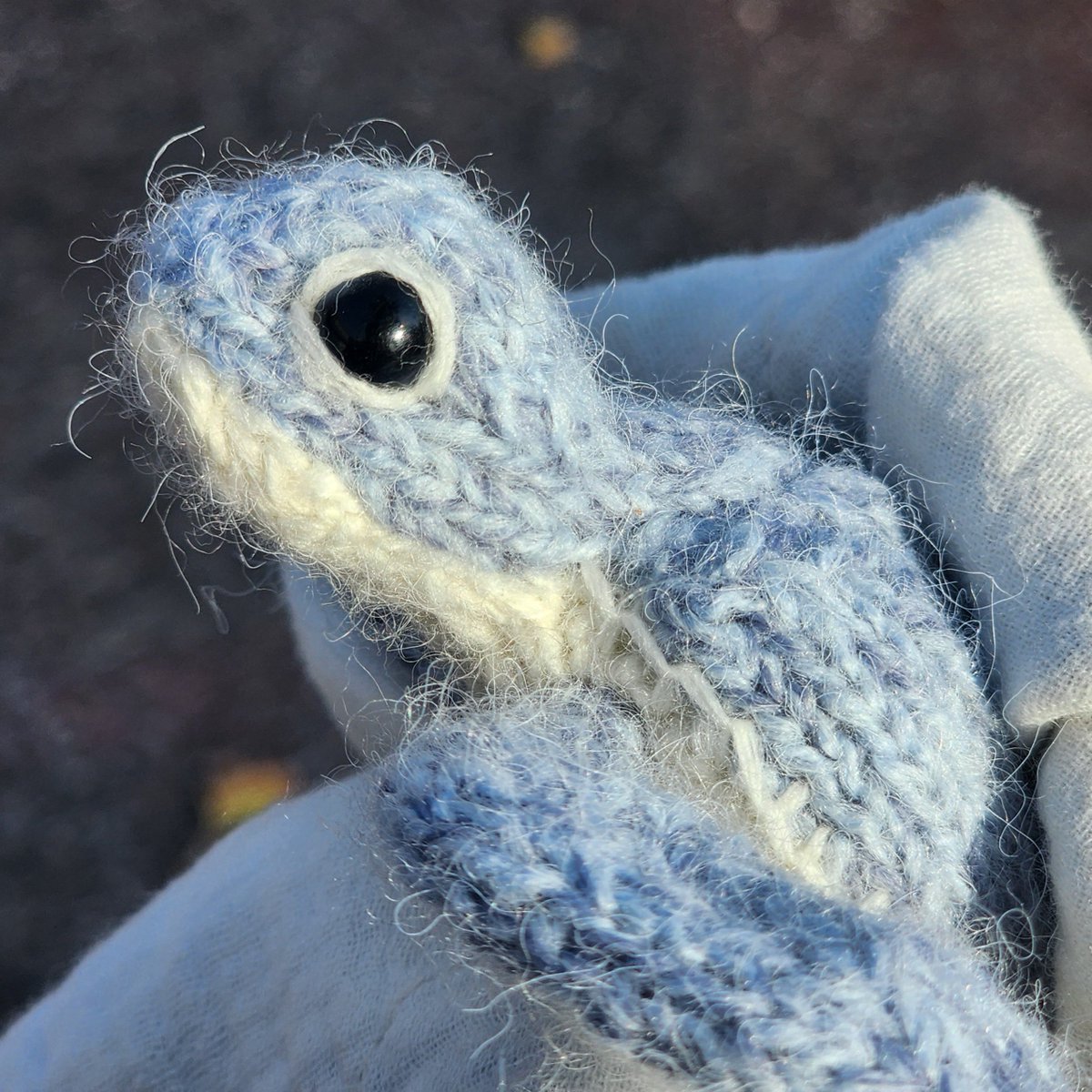 real_knitting's tweet photo. 호럴로 @holloknit 님의 신작! 바다거북입니다

혹시 많이 귀여운데 만들기 어렵지않은 난이도의 거북이를 찾으시나요! 

그렇다면 바로 이 거북이를 추천드립니다

등딱지가 무려! 꽈배기포인트가 들어간 초귀염 거북이🐢

한 손 안에 쏙 들어와서 뽀담뽀담 쓰다듬기 너무 좋아요

추가 정보는 타래로 https://t.co/STGEpWB6iL