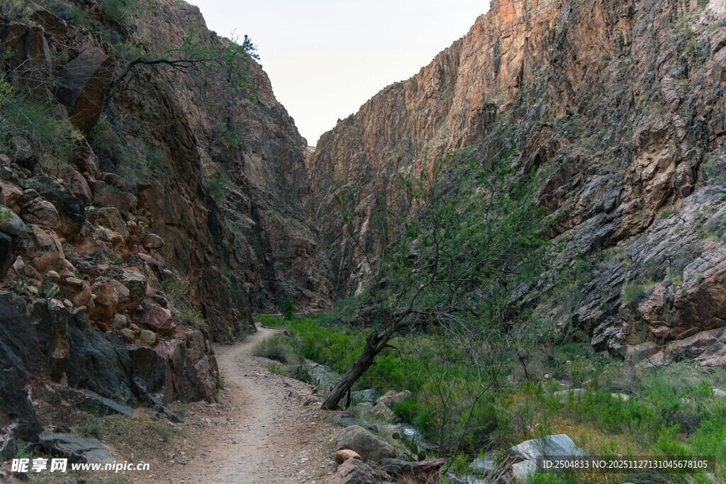 jasonbyrd11's tweet photo. [Zhang Baipo, the hiker with palm-sized steps on the winding path, made a stunning trail blazer today!]， https://t.co/22IjM9cLio