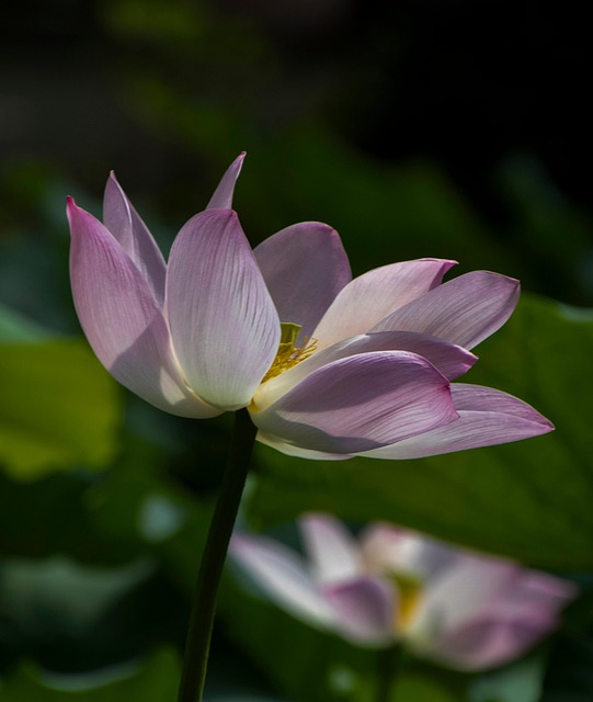 J12Kaka's tweet photo. 封安鸣，你还在，我心里一直记着，其实我也没说出来，我没那么慌了。🚶‍♂️ https://t.co/o7ZRGFhB54