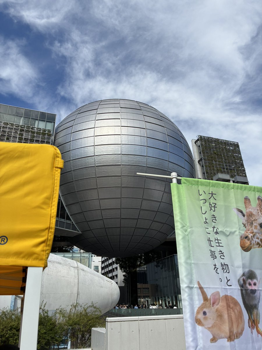 non_no634's tweet photo. 今日入館料無料で、ラッキー☆。.:＊・゜ https://t.co/gXz9lIBKAA