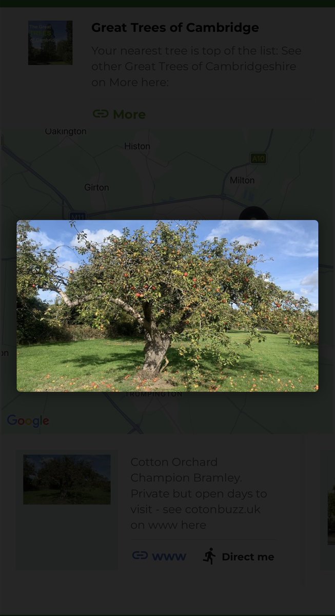 TiCLme's tweet photo. Come hither, ere my tree hath felt the axe

Timon of Athens 5.1.212

#shakespearesunday @HollowCrownFans @JustPlaneNews @BotanicalShax @shakespeareina1 @keeper_of_books @SandyDeBorn @CambridgePPF @markrwilliamson @CotonBuzz @BonkersBusway https://t.co/eHfjxcf4DI