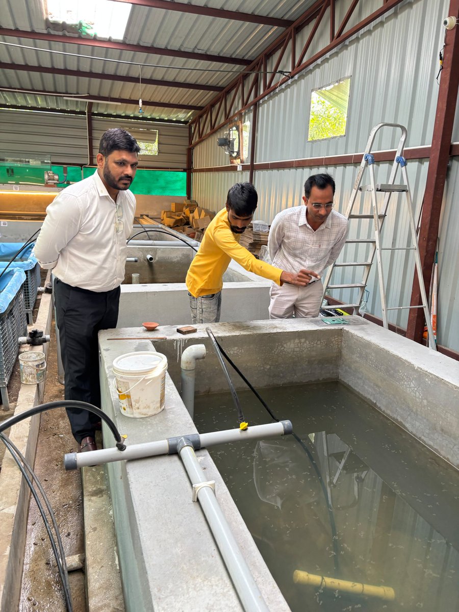 FisheriesGoI's tweet photo. Technology meets innovation at a Modern Ornamental Fish Hatchery in Baguliya, Khatima Tehsil, Udham Singh Nagar, Uttarakhand, owned by Smt. Simona Talwar.

The hatchery specialises in breeding ornamental fish and several other varieties, with modern technology adding a new dimension to fish culture. AI-enabled systems help maintain optimal water temperature, water quality and oxygen levels, supporting healthier fish and better production outcomes. The facility also features a Biofloc unit owned by Shri Kapil Talwar, where fish are cultured in a well-maintained and hygienic environment.

What makes these units even more unique is their smart customer experience. Visitors can scan the QR codes installed at the respective units to place online orders for the fish they see, with the added benefit of free home delivery.

During the visit, Shri Subhash Chandra, Director, Department of Fisheries, Government of India, witnessed how modern technology, innovative thinking and dedicated efforts are coming together to strengthen the fisheries sector, complemented by the support of government schemes under PMMSY.

#Fisheries #FishCulture #PMMSY