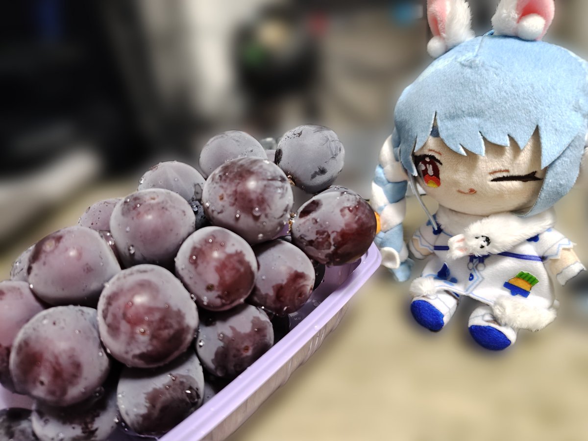 kaya210flr's tweet photo. ぺこちゃん葡萄だよ〜🍇 https://t.co/eOCdDLCdO6