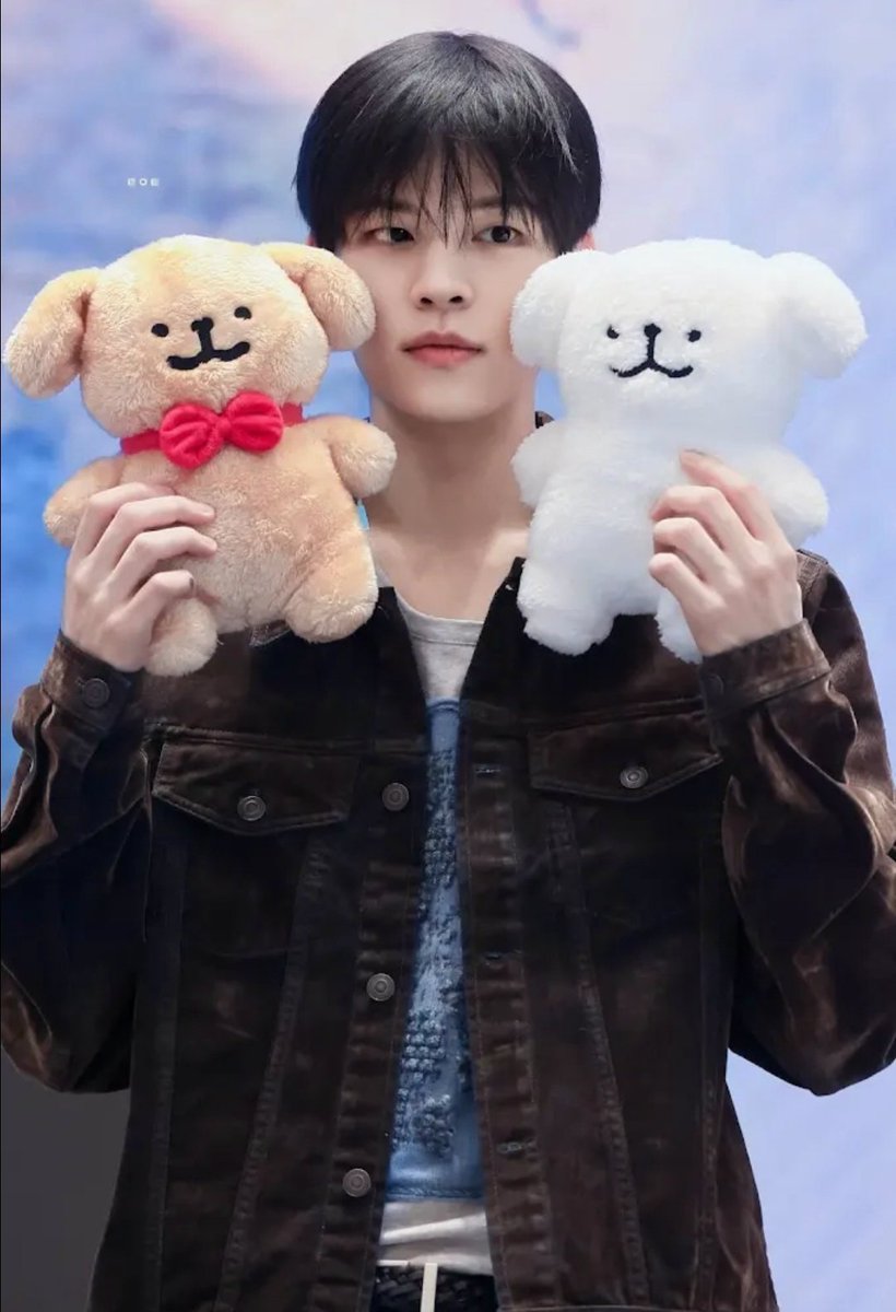 seumongmong's tweet photo. PuppyRacha ❤️🐶🤍 https://t.co/BBrWz5IFxE