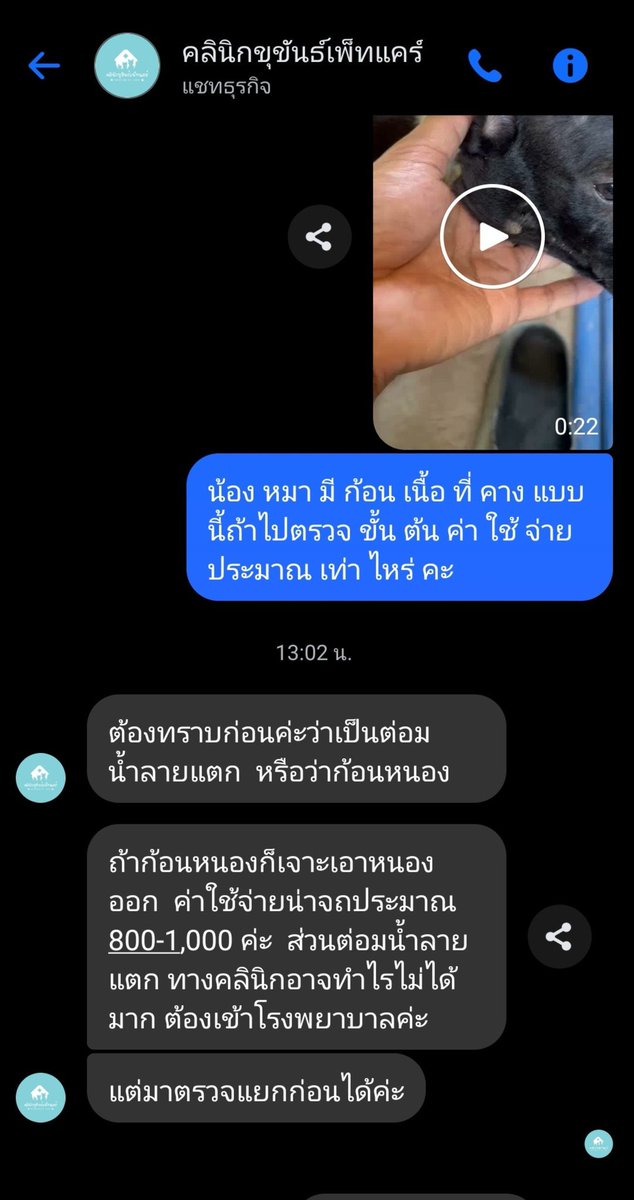 nuttyinlove46's tweet photo. RT ขออนุญาตระดมทุน กองบุญลาะ 9บาท จำนวนเงิน 1000 บาทค่ะเป็นการประเมินขั้นต้นค่ะ หรือมีผู้ใหญ่ใจดีเมตตาช่วยรับเคสสามารถโอนให้คุณหมอโดยตรงได้นะคะ  น้องมีอาการแก้มบวมและเหมือนจะบวมขึ้นเรื่อยๆเลยค่ะในเวลาอันรวดเร็ว ช่วยเอ็นดูน้องด้วยนะคะน้องเป็นหมาจรที่เจ้าของนำมาทิ้งที่นาค่ะ 😭😭🙏🏻  #หมาจร #ทำบุญ