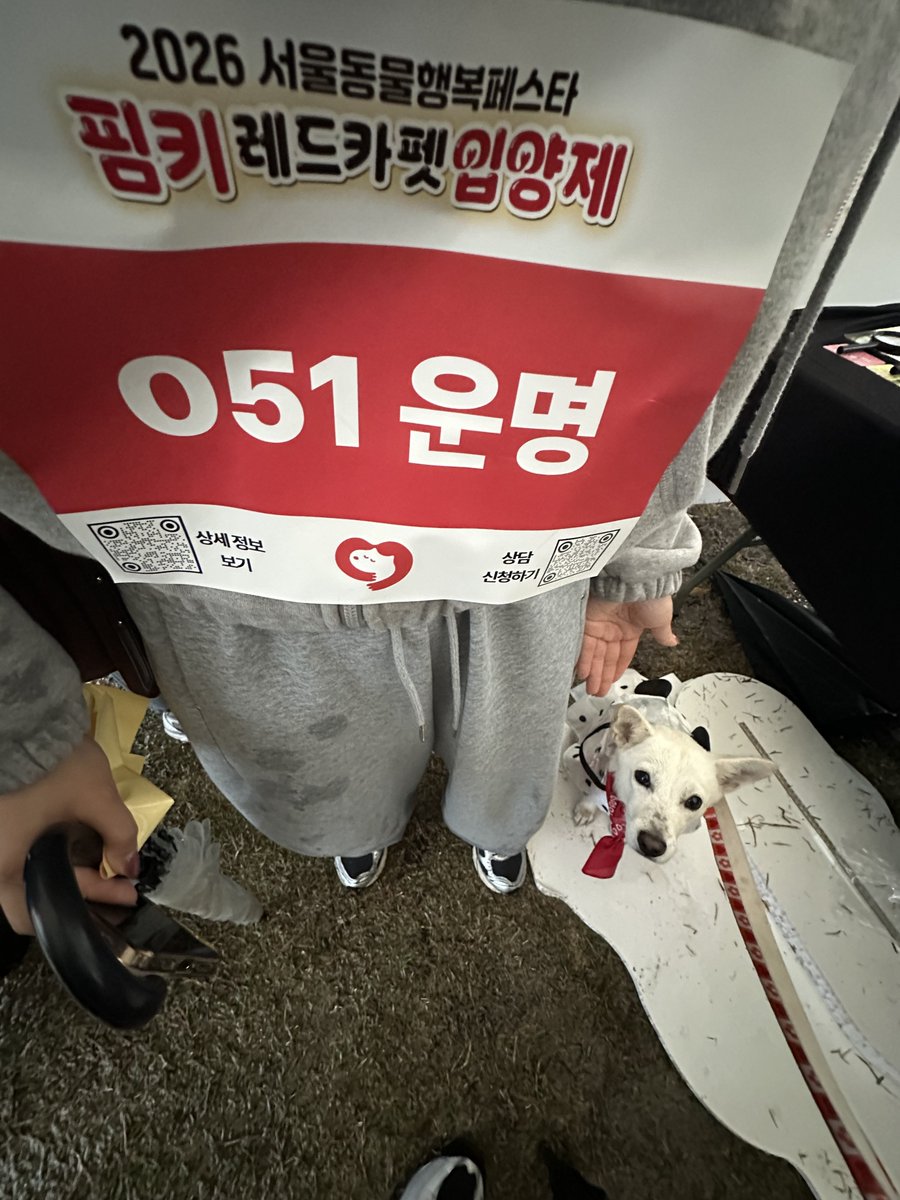 bami_diary_'s tweet photo. 너무웃겨 제발 https://t.co/0Q7IhUA2ZE