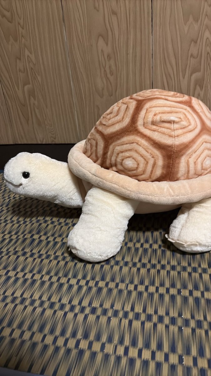 Kosyzlm's tweet photo. 大丈夫です、亀のぬいぐるみなんで。
これってセンシティブ判定されるかな？というか思いつきで投稿しました。
2枚目はぬいぐるみの全体です https://t.co/daGP2Ko8pU