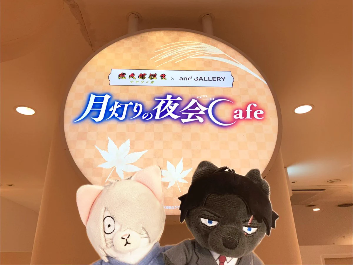 森野うさぎ on X: 