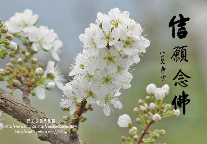 FSJFtEO5mD4DH2n's tweet photo. 【墨寶法語】 https://t.co/D3J1pqFsEn