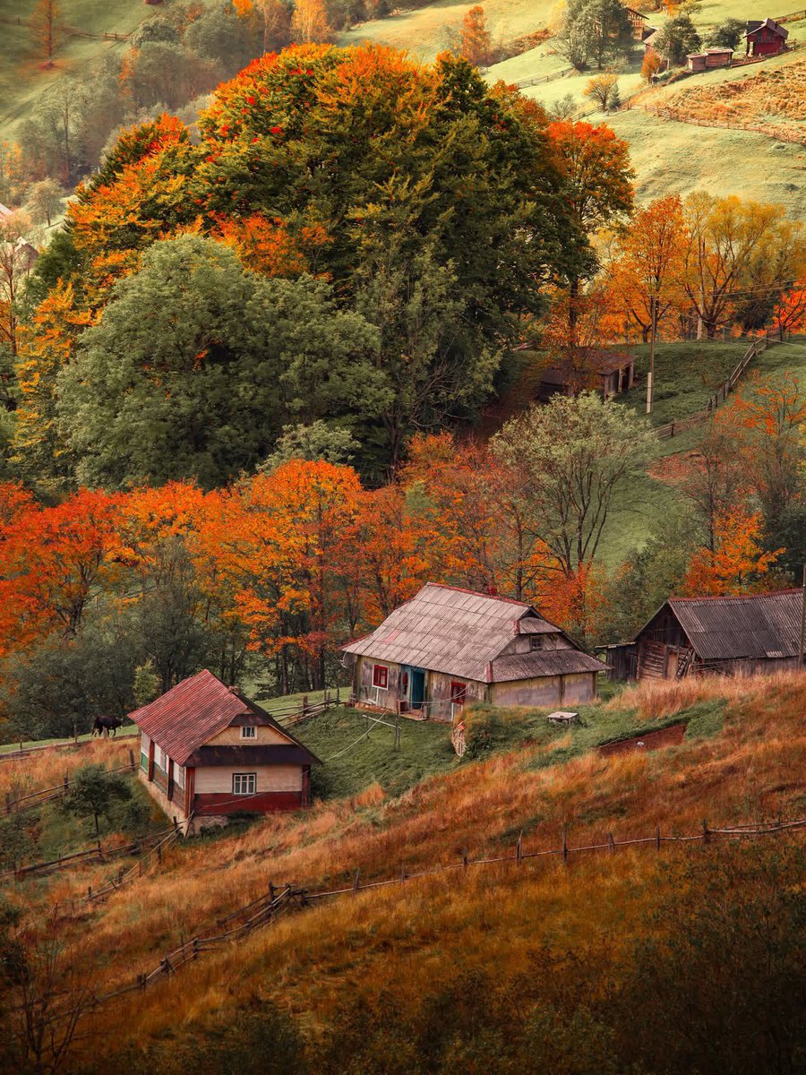 earthserenityy's tweet photo. Fall in ohio https://t.co/kvNTuxcC8S