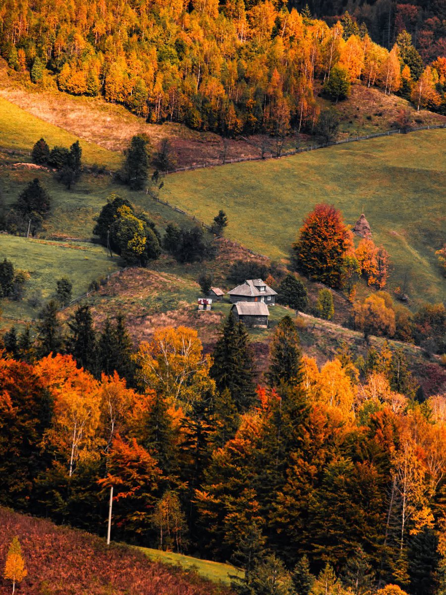 earthserenityy's tweet photo. Fall in ohio https://t.co/kvNTuxcC8S