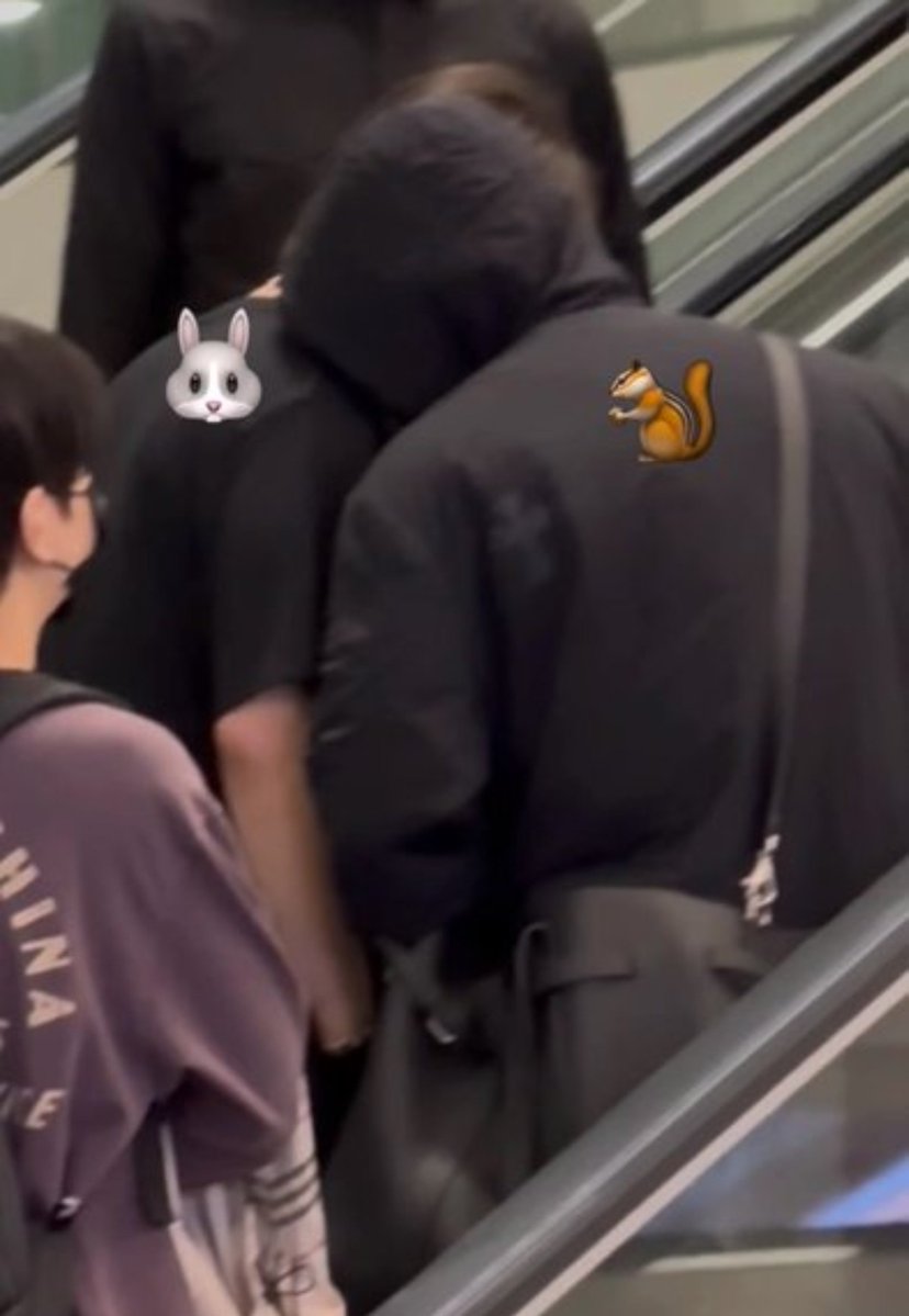 hallofmiso tweet picture