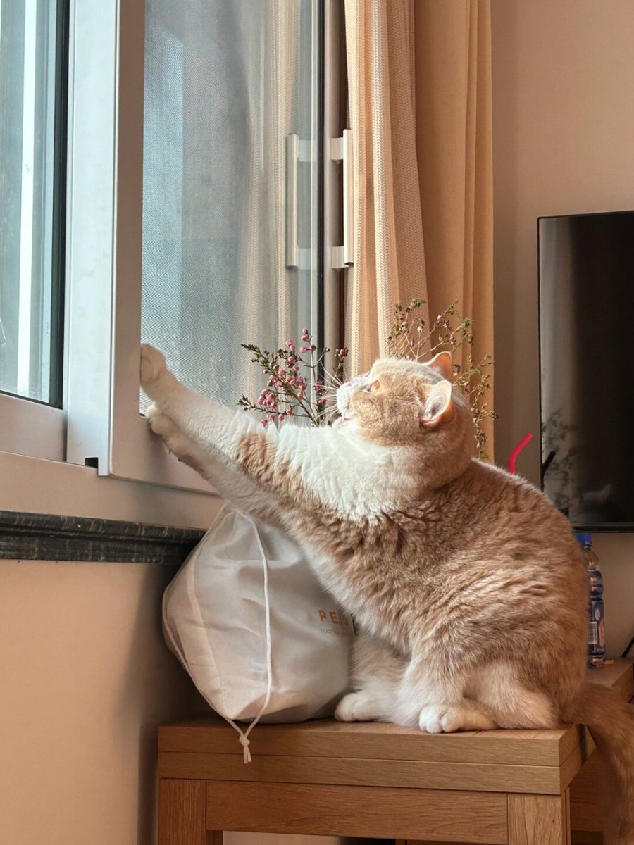 ceduf0119's tweet photo. This hot, stuffy day makes me restless—looking forward to a cool breeze soon. https://t.co/8hsGyL0wrp