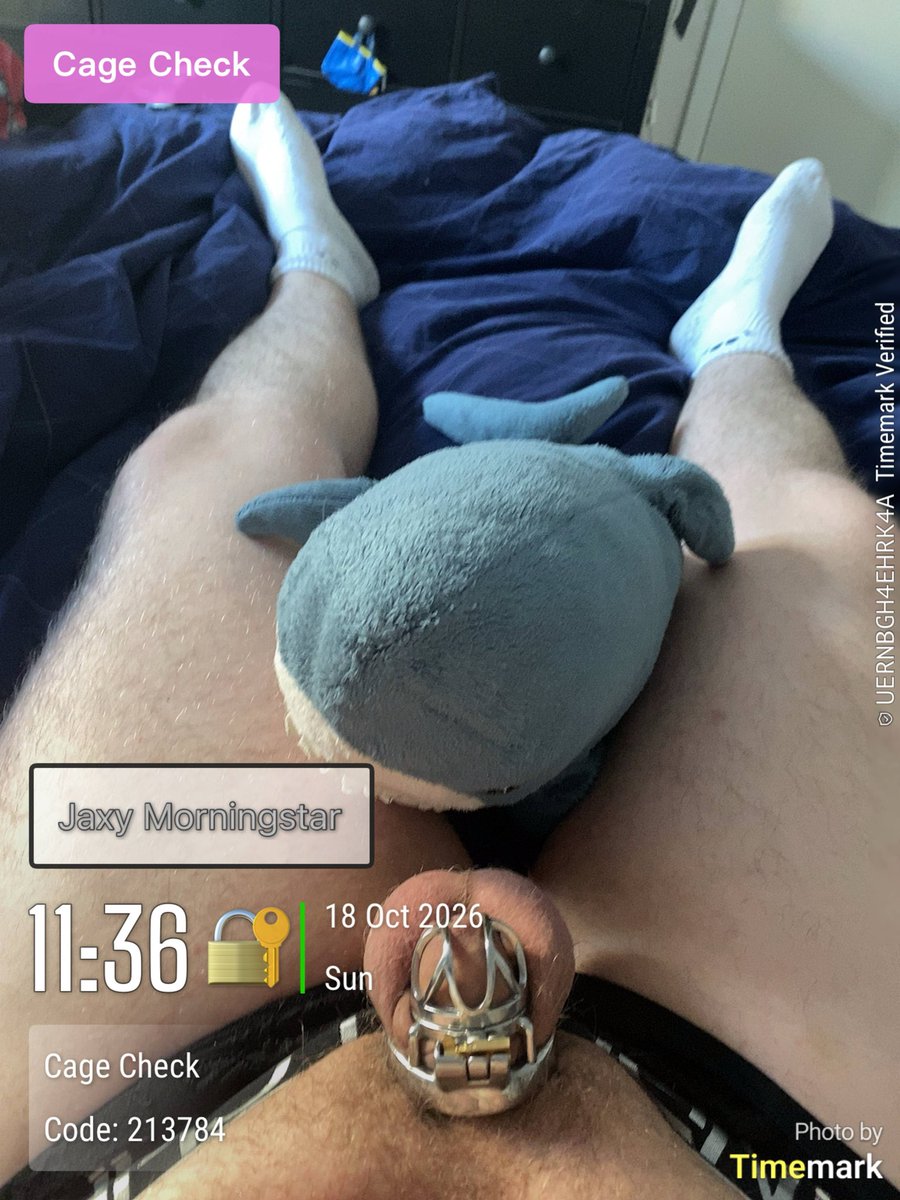 Jaxy_and_Pinky's tweet photo. Day 17 cage check
🐾💜🔐
2 weeks + 3 day, Still going strong
🐾🔐💜Awrooo
@PuppywolfKylo @Pinky_goldenboy other room
Cage from: @ifrrk_frrk
Underwears from: AC
#ShowYourLock! #Jocktober #teamlock #gaychastity #lockedboy #cagedboy #gaylocked #chastity #locktober #cagecheck https://t.co/2zdv9MU4KC