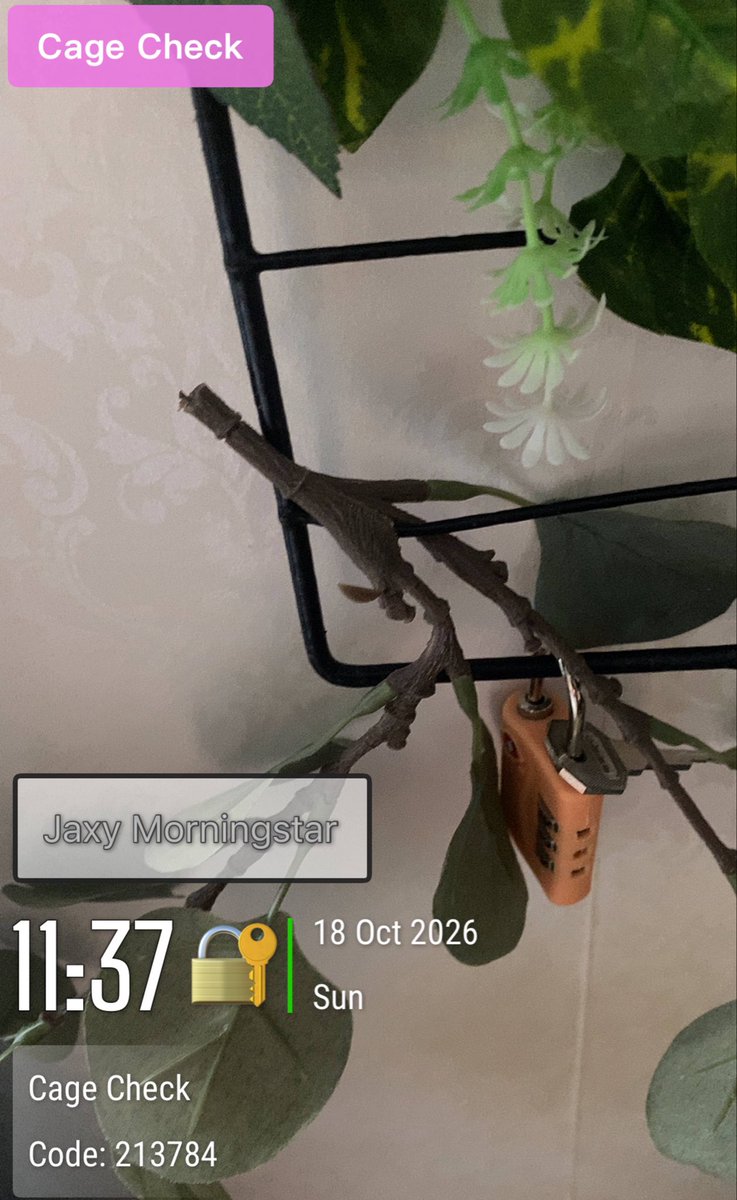 Jaxy_and_Pinky's tweet photo. Day 17 cage check
🐾💜🔐
2 weeks + 3 day, Still going strong
🐾🔐💜Awrooo
@PuppywolfKylo @Pinky_goldenboy other room
Cage from: @ifrrk_frrk
Underwears from: AC
#ShowYourLock! #Jocktober #teamlock #gaychastity #lockedboy #cagedboy #gaylocked #chastity #locktober #cagecheck https://t.co/2zdv9MU4KC