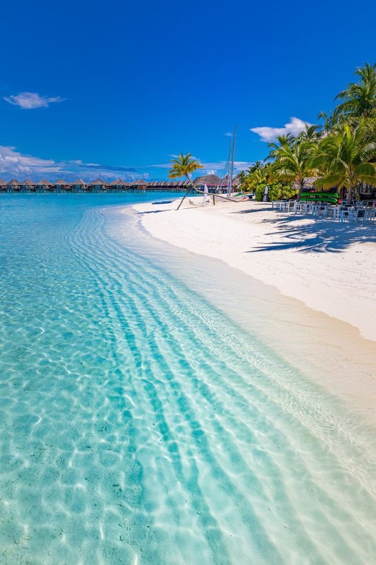 TravelBucketX tweet picture