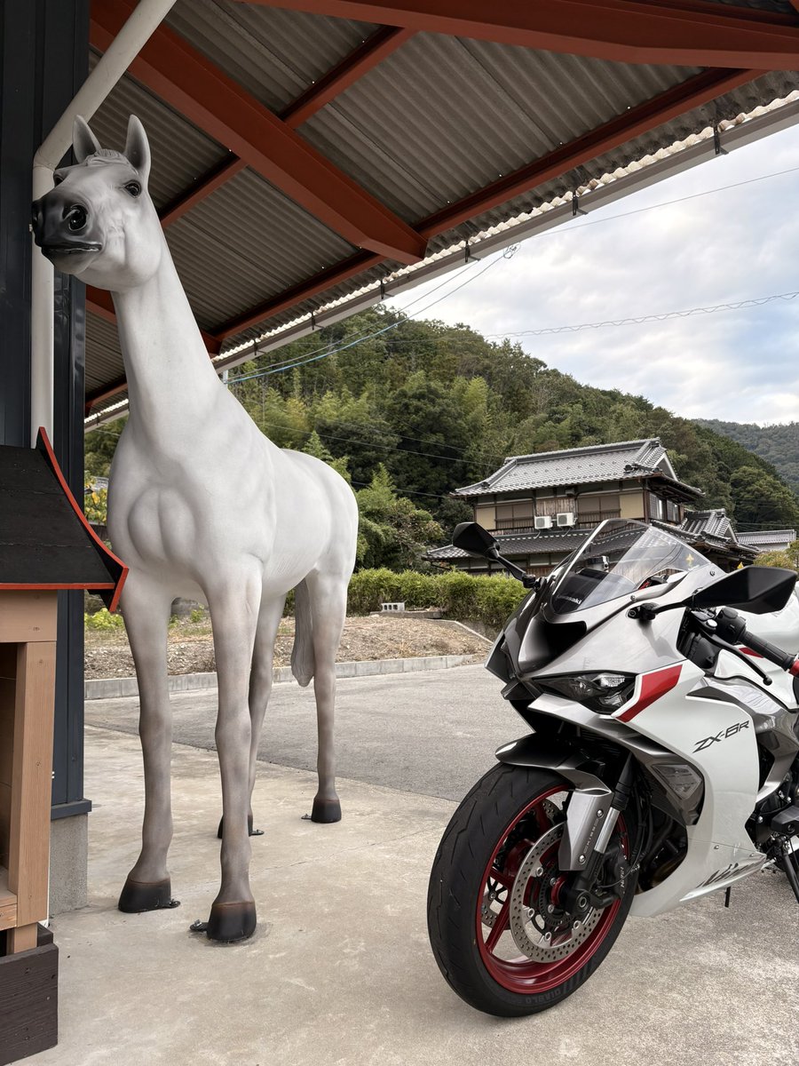 miro71108's tweet photo. この写真には123頭写ってます🐴

#ZX6R https://t.co/I5WVYGVrBn