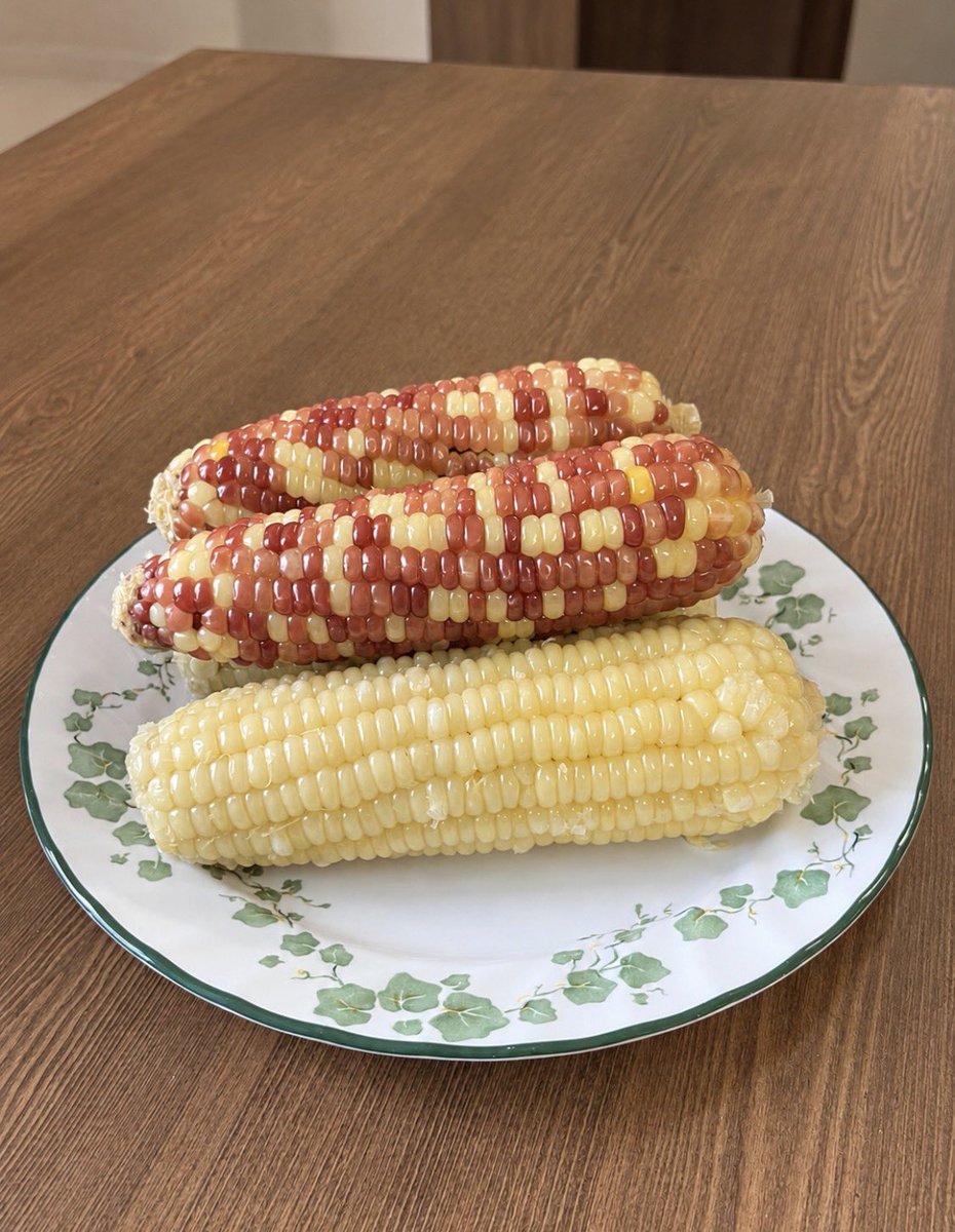 to2go2an's tweet photo. 쌀쌀하니 찐 옥수수가 생각나서
사왔어요 🌽🌽🌽 https://t.co/WRhjLr51Af