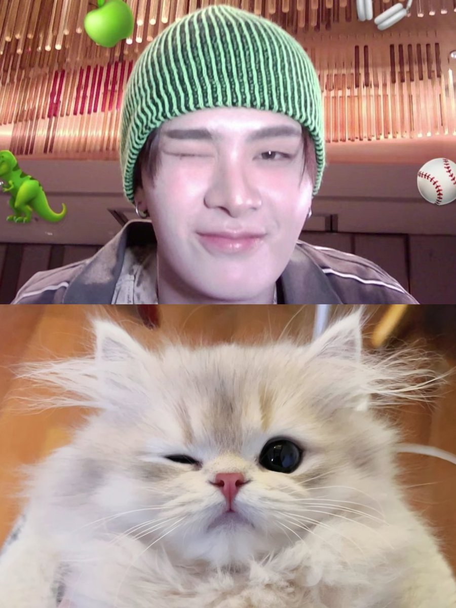 emdubbiw's tweet photo. mameow wink~ ≽^-⩊-^≼ ~♡ˎˊ˗ https://t.co/14XDQvopbJ