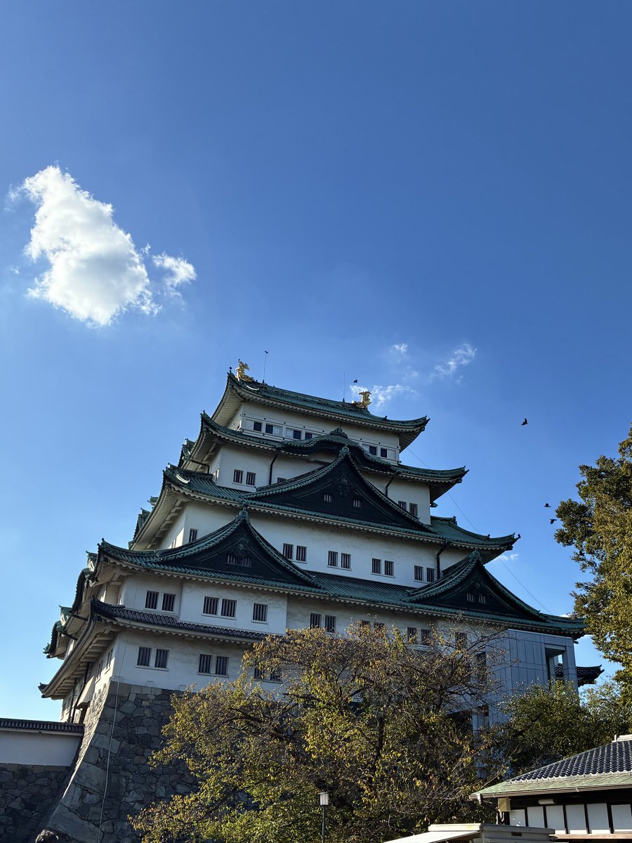 Miki03101's tweet photo. 名古屋まつりで今日は無料で入れた🏯
生まれも育ちも名古屋だけどまだ2回目
風が気持ちいい https://t.co/RAKLYEZyod