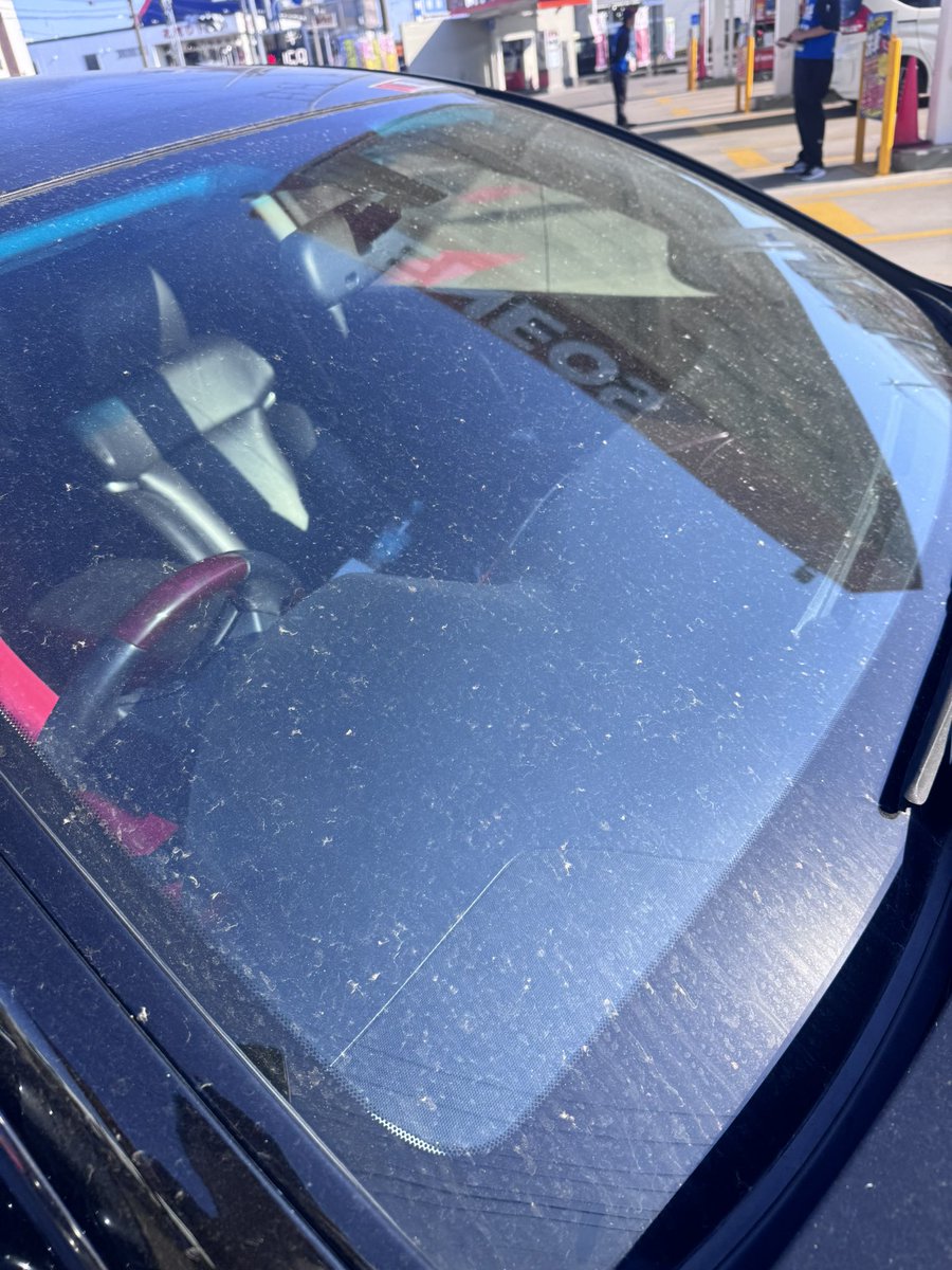 aaevkf's tweet photo. 1ヶ月ぶりに自家用車出したら死ぬほど汚いので洗車🤮 https://t.co/OUu2aCovih