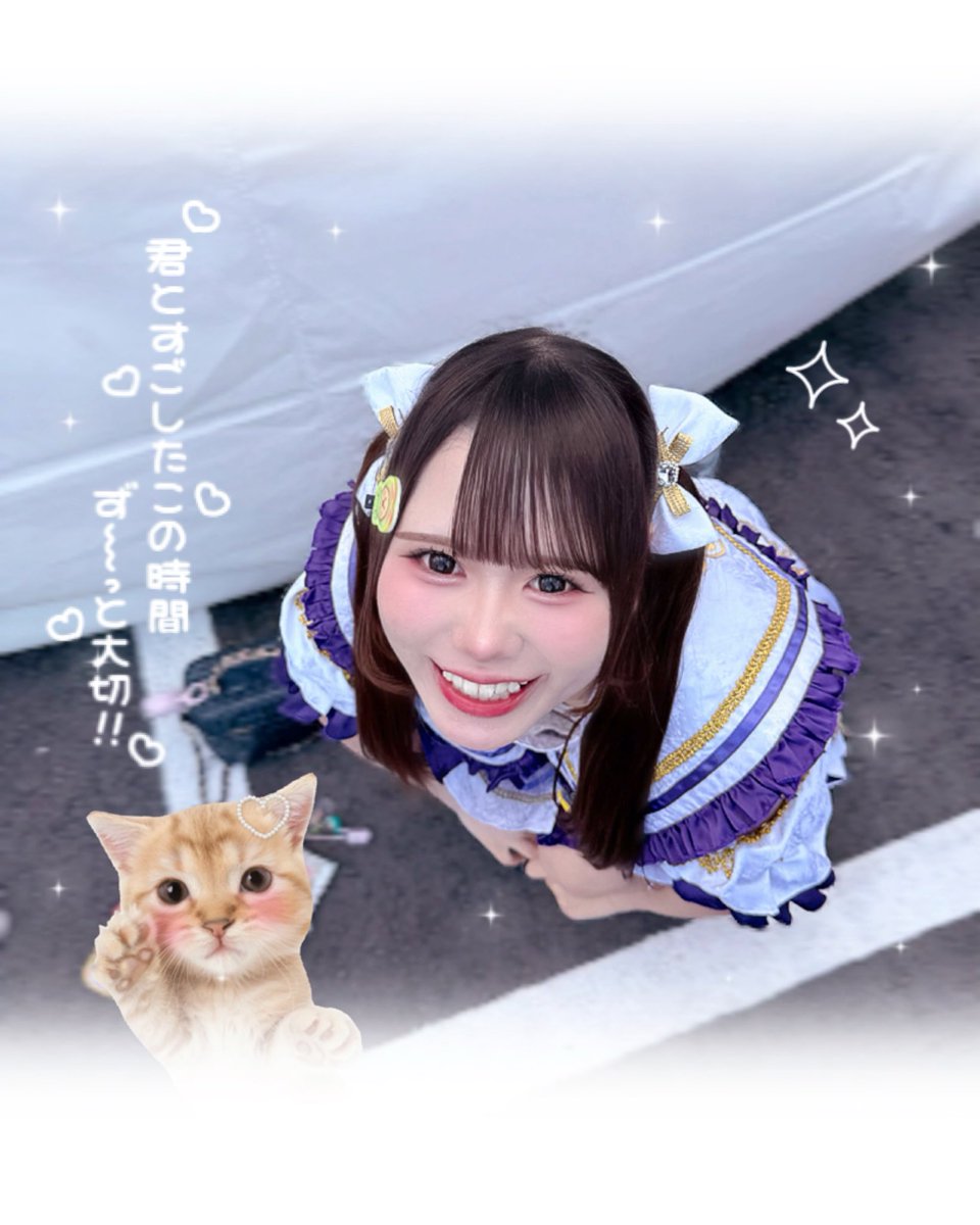 ncmastar_'s tweet photo. ♡キミだけに夢中な 𝑵𝒆𝒌𝒐🐈‍⬛🎀
 #まおちゃん成長記録 #星奈まお https://t.co/KZaYTLXyJV
