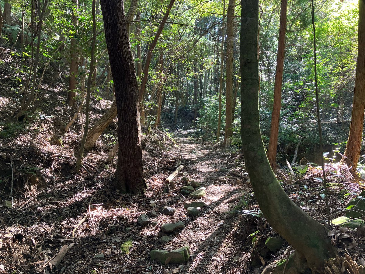 drivedog's tweet photo. いつもの山をサクッと。
天気よく癒されました♪ https://t.co/0j1ApZLc6r