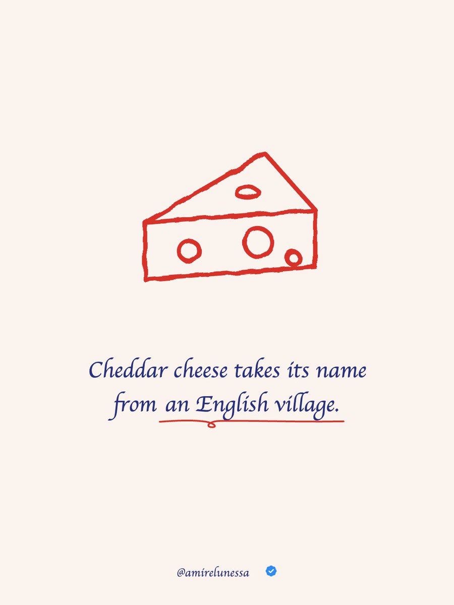 amirelunessa's tweet photo. Cheddar cheese is named after a real English village, not a flavor profile. https://t.co/MbUNeU5AYx