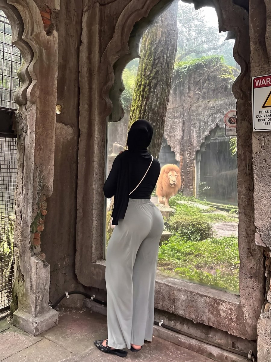 LeoMode_ON's tweet photo. 🐯🦁🦒 Zoo day! 🌿✨
Spending today enjoying the wild side of life with some amazing animals. ❤️
#ZooDay #Indonesia #Malaysia #Travel #Wildlife #Nature #ZooLife #WeekendVibes https://t.co/V2yaGuxcso