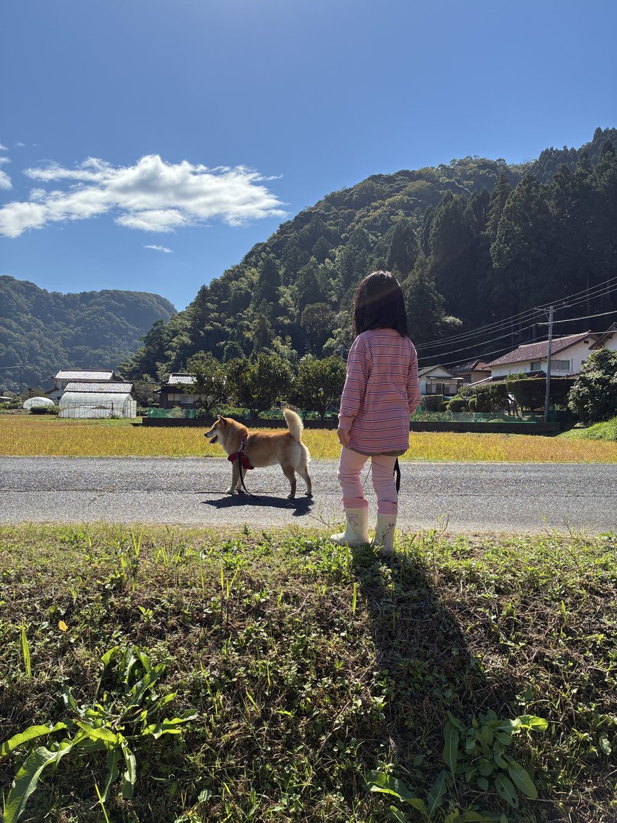 yumipooh's tweet photo. のどかな日本の秋 https://t.co/d2Fr0gK8k6