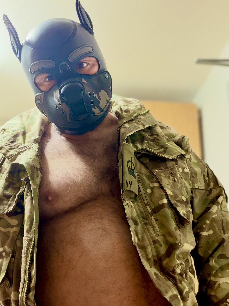 Hugsypup's tweet photo. Arf!!! https://t.co/u48bOH0BZo
