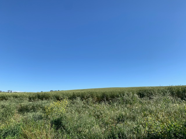 VK2CSW tweet picture