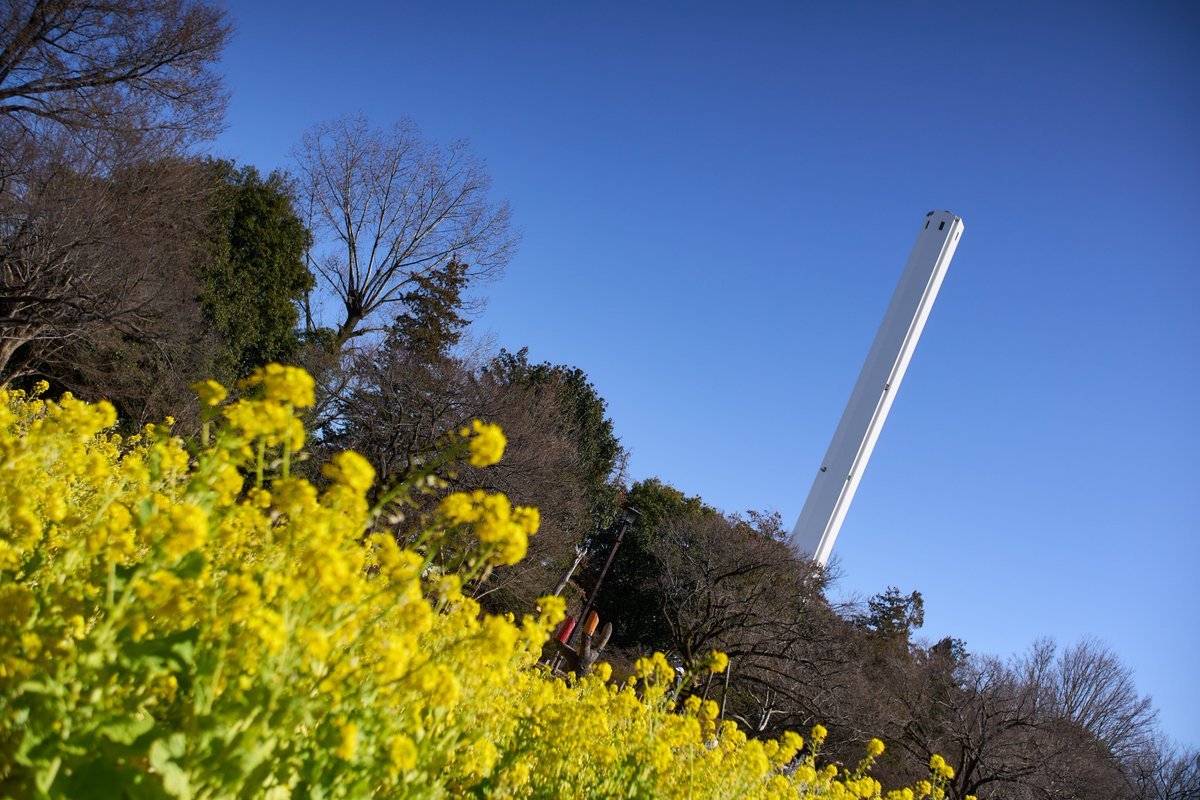 tasogaredensya's tweet photo. 例のガスタンク
#蘆花恒春園 #carryme #α6700 #viltrox23mmf14 https://t.co/gYQWMrno80