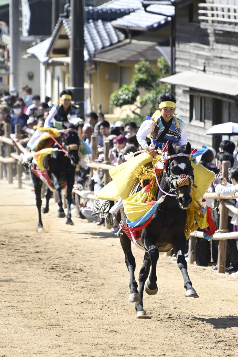 imabari_city's tweet photo. 🐎愛媛県無形民俗文化財「お供馬の走り込み」
力強く駆ける馬と凛々しい乗り子たち。
その勇ましい姿に、会場から大きな拍手と歓声が送られました！ https://t.co/kSG9P1vfds