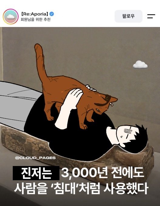 hskqigi3d66x's tweet photo. @ara_araick 오늘 밥 두끼나 먹었잖아
더 먹으면 뚱냥이되 진저야 https://t.co/knKNGhXzjQ