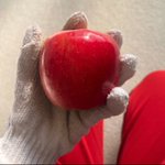 Photo by 日報さん🍎 (@nippou_)