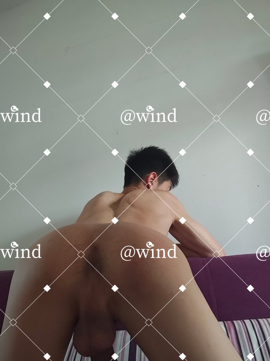 windsdd tweet picture