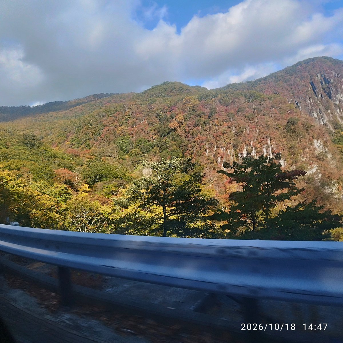 nyama0102's tweet photo. いろは坂ー( 'ω')
うっすら紅葉🍁

#第一いろは坂 https://t.co/HBFZcRoi1X