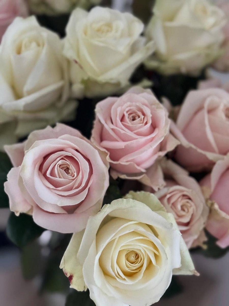 sandranelsvy's tweet photo. Happy Happy Valentines Day to everyone I hold dear… ❤️ I miss you and hope we’re together soon 😘😘😘🥰🌹 https://t.co/cZUjmx3Ywv