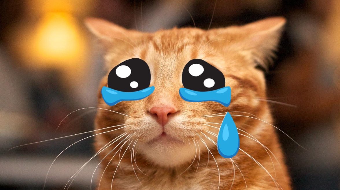 funnymeowist's tweet photo. scientists reveal the cry https://t.co/IoqDT5s4CT