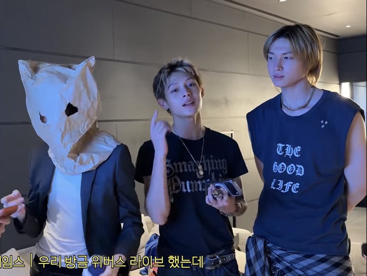 8wolkids's tweet photo. “i feel like cats are sth different to me” https://t.co/C9f8I1X3SA