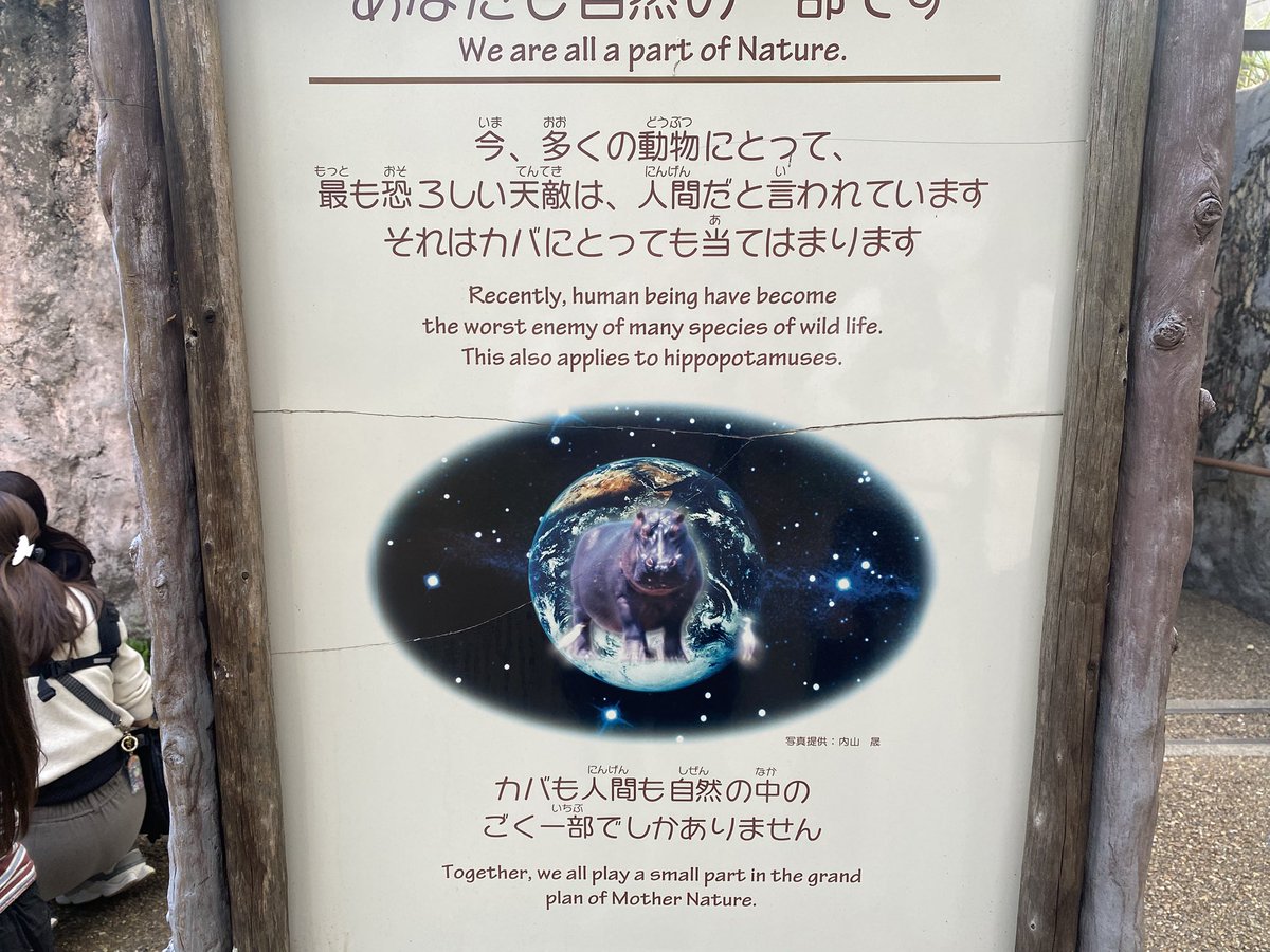 T2_0707's tweet photo. 雑コラみたいなカバ https://t.co/Ll7PCa3HzD