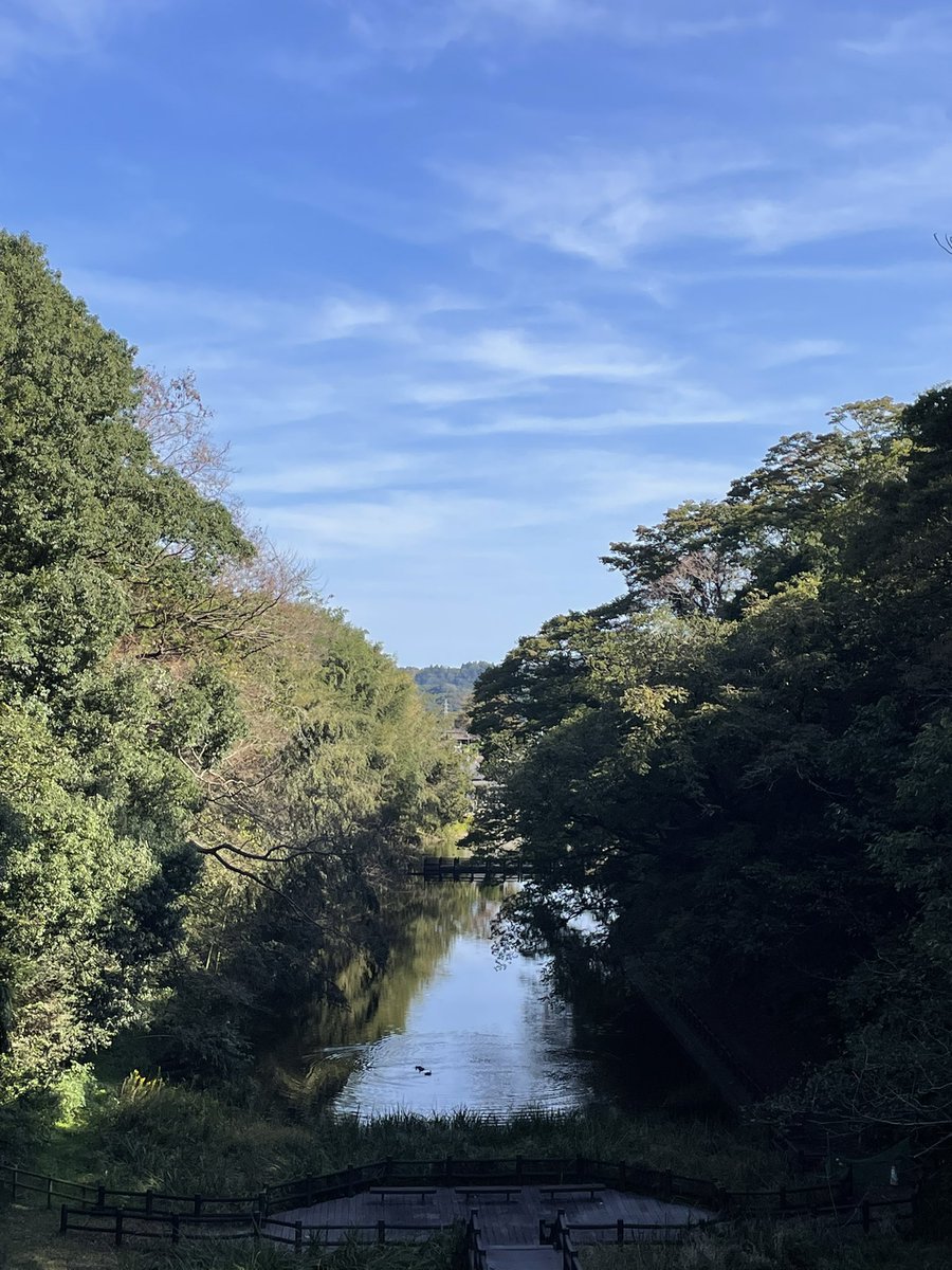 waga2796's tweet photo. 午前中は旧城跡行ったり美術館に行った。
松本陽子さんの作品凄かった。角度によって印象が変わった。
3枚目の作品がぱっと見ドレスを着た綺麗な令嬢に見えて、それからこの作品見てたらずっとドキドキしてた。美人さんを目の前にしてる時のような緊張感というか…… https://t.co/jTh4rF5dle