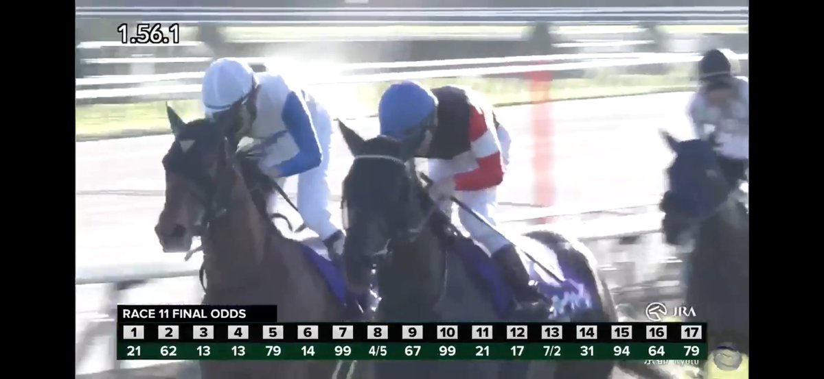 hmlaa's tweet photo. MONROE WALK wins the G1 Shuka Sho to remain unbeaten in 5 starts and win her first G1!!! What a BEAST!!! WOW she’s equaled a track record too 1:56.1 for 2000m. #モンローウォーク #MonroeWalk my short priced fav gets it done as a nice single! @TheNYRA https://t.co/8rkEICbl2a