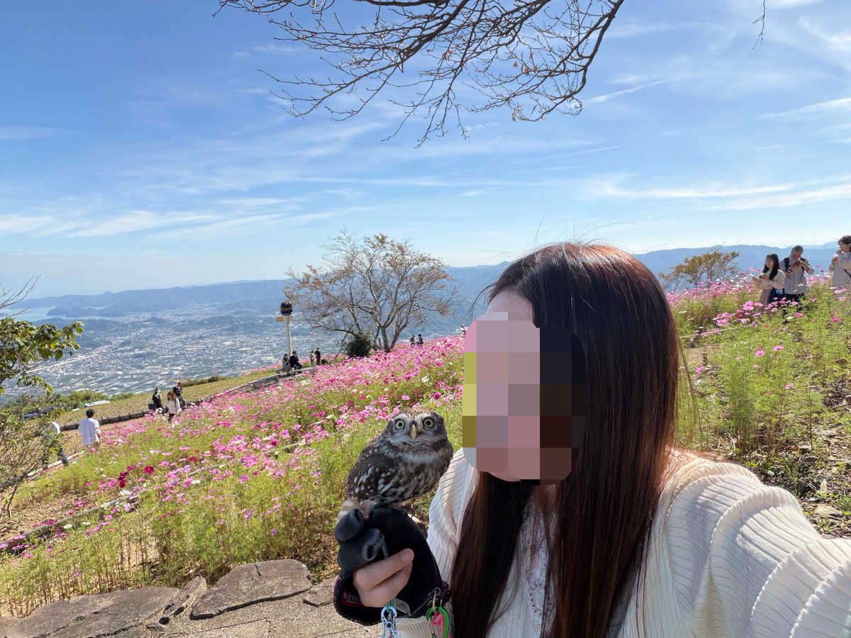 kokinme_huku's tweet photo. 鷲ヶ峰コスモスパークへ

まんっかい！！！🌸 https://t.co/K9edIISjp5