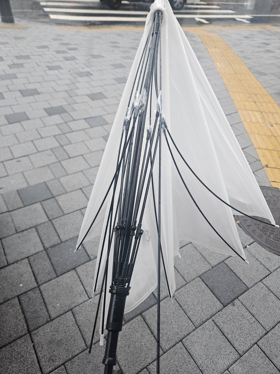 sub__jun_ tweet picture