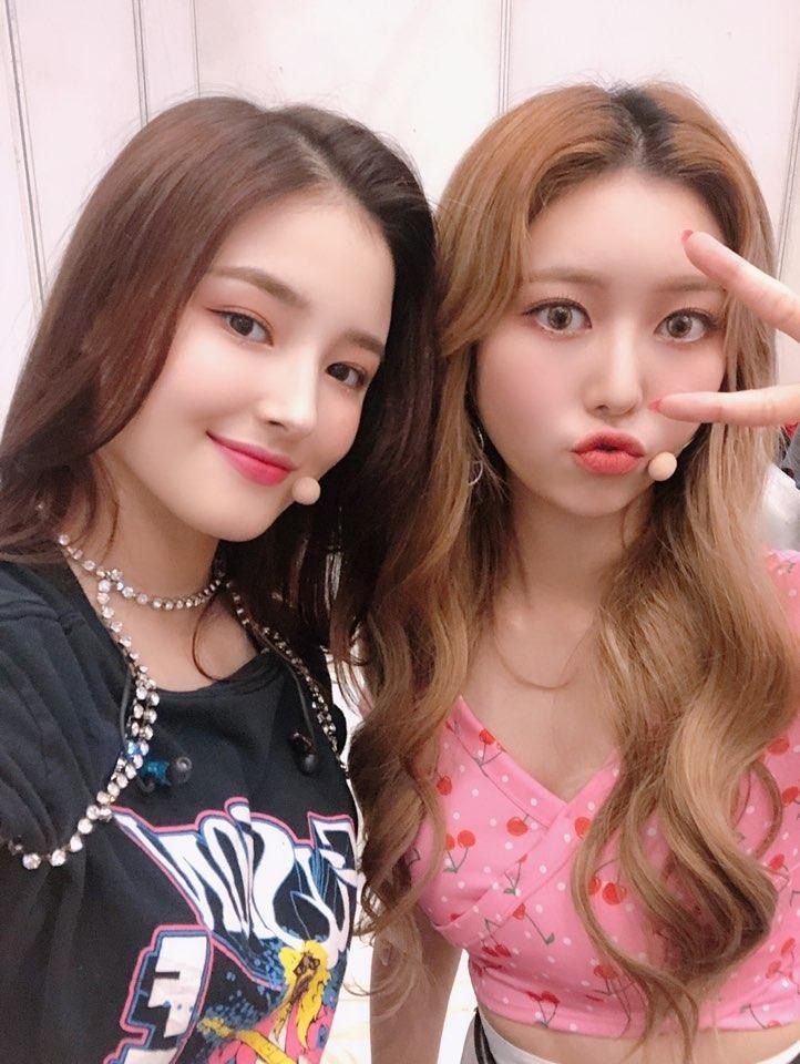 SunDaisy3194952's tweet photo. Nancy and Jane are close to victory! Nancy is currently in third place — let’s keep this momentum going. In the second round, you can vote for multiple candidates, so let’s get our girls! 🩷🍓✨

https://t.co/BqmOYJtfz3

https://t.co/JgHiCROY56

#MOMOLAND #NANCY #JANE https://t.co/DWsPpkUqce
